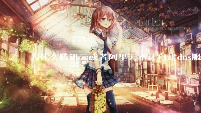 为什么腾讯云或者阿里云不让自建dns服务器?