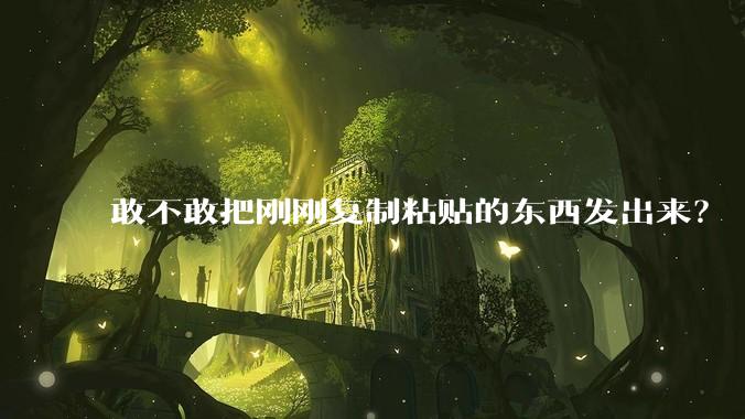 敢不敢把刚刚复制粘贴的东西发出来？