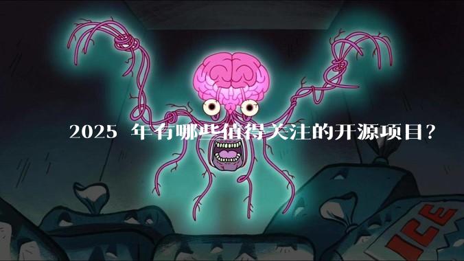 2025 年有哪些值得关注的开源项目？