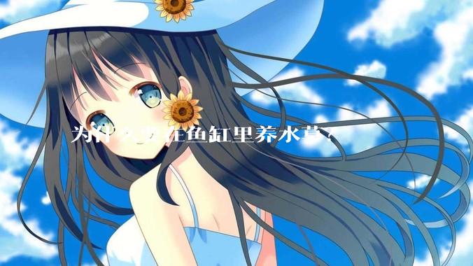 为什么要在鱼缸里养水草？