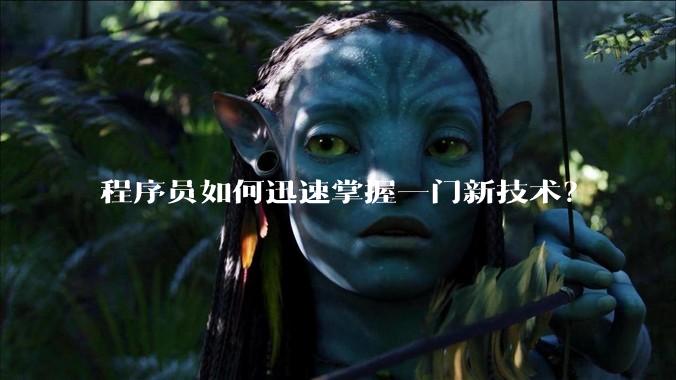 程序员如何迅速掌握一门新技术？