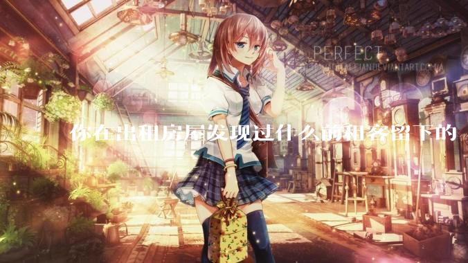 你在出租房屋发现过什么前租客留下的“宝藏”？