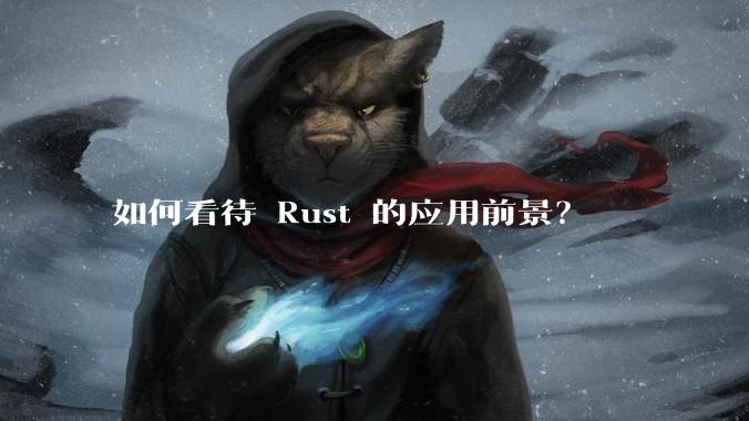 如何看待 Rust 的应用前景？