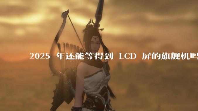 2025 年还能等得到 LCD 屏的旗舰机吗？