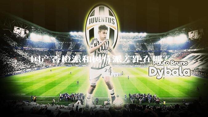 国产香橙派和树莓派差距在哪？