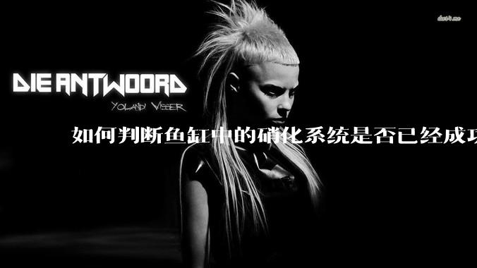 如何判断鱼缸中的硝化系统是否已经成功建立？