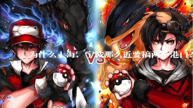 为什么上海、宁波那么近要搞两个港口？不会恶性竞争么？