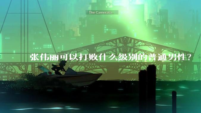 张伟丽可以打败什么级别的普通男性？