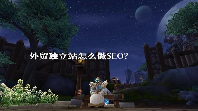 外贸独立站怎么做SEO？